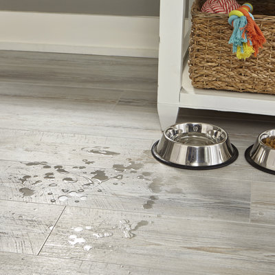 Find the Perfect Laminate Flooring | Wayfair